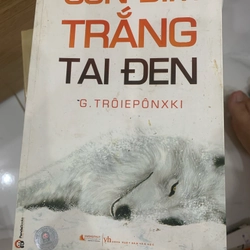 Truyện Con Bim trắng tai đen 318091