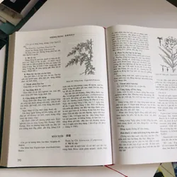 NHỮNG CÂY THUỐC VÀ VỊ THUỐC VIỆT NAM  455636