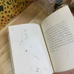 Because Of Winn-Dixie - Kate DiCamillo 929824