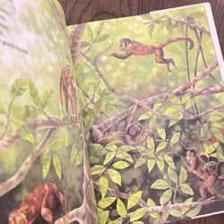 ✨𝑾𝒆𝒍𝒄𝒐𝒎𝒆 𝒕𝒐 𝒕𝒉𝒆 𝑮𝒓𝒆𝒆𝒏 𝑯𝒐𝒖𝒔𝒆✨ 734967