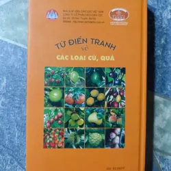 Từ điển tranh về các loại củ, quả 1001158