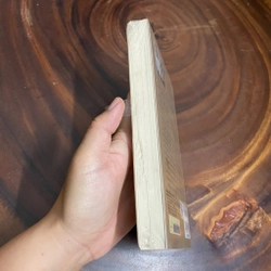[Nguyên Seal] - II Tựa sách: Đối Thoại Với Lý Quang Diệu - Tom Plate 443713