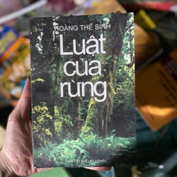 Luật của rừng - Hoàng Thế Sinh