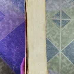 Quỳ trước hoa mai - - Tu Ngọc Tường & Vương Kế Xương 598259