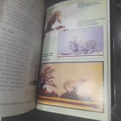 BONSAI - Cây dáng, thế và Non bộ 541969