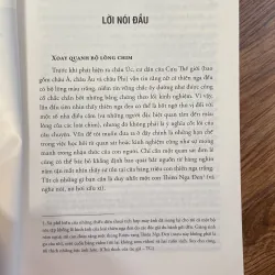 Thiên nga đen 970845