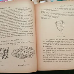 LỊCH SỬ ĐỊA CẦU - Trần Kim Thạch 697832