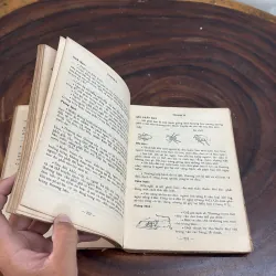 II Sức Khoẻ: Chăm Sóc Sức Khoẻ - DAVID WERNER - 1983 1010438