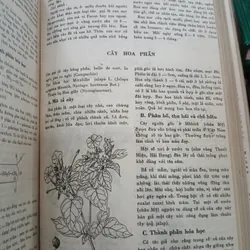 NHỮNG CÂY THUỐC VÀ VỊ THUỐC VIỆT NAM - ĐỖ TẤT LỢI 740042