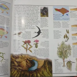 BALI: A TRAVELLER'S COMPANION (NGƯỜI BẠN ĐỒNG HÀNH CỦA DU KHÁCH BALI) 751687