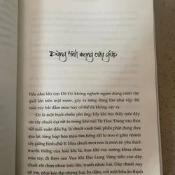 Hầu Phi Tâm Kế – Thẩm Thạch Khê 592130