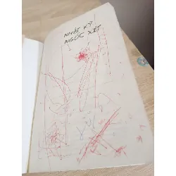 [Phiên Chợ Sách Cũ] Nhật Ký Ngốc Xít (2014) - Jim Benton S1507 504662