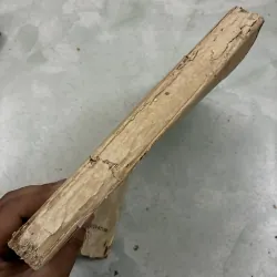 Ký sinh trùng y học - 1994s 1013090