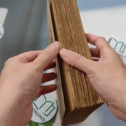 [XƯA] Jenny Ghechac 1 (1986) - Theodor Dreiser 776082