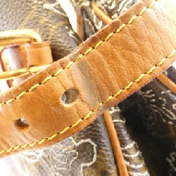 Túi xách Louis Vuitton Monogram Dantiel Batignolles Oriental M95399 616344