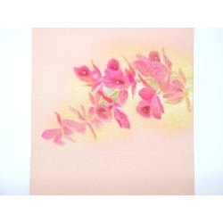 Dải Nagoya nhuộm muối Shioze - Hàng hiệu Authentic 874920