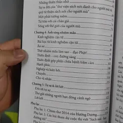 Đứng Dậy Và Bước Đi - Nguyễn Hướng Dương 798435