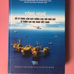 CÔNG NGHỆ XỬ LÝ VÙNG CẬN ĐÁY GIẾNG CÁC MỎ DẦU KHÍ Ở THỀM LỤC ĐỊA NAM VIỆT NAM