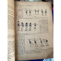 Vật Việt Nam 753956