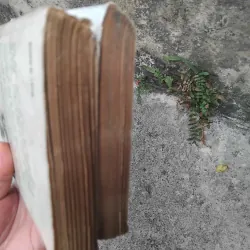Sống và chết ở Thượng Hải tiểu thuyết của Trịnh Niệm  1019193