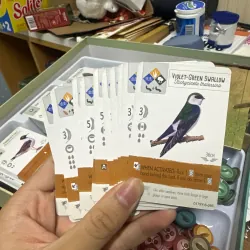 Trò chơi bài Wingspan and Automa bộ đồ chơi boardgame 907569