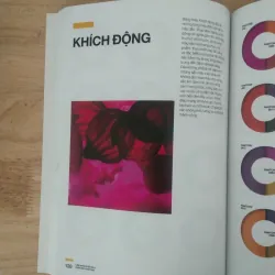 Cẩm nang phối màu pantone  1006354