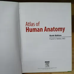 Atlas Giải Phẫu Người (Ấn Bản Lần Thứ 6) - Frank H. Netter, MD 570689