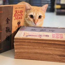 Trọn bộ KIM BÌNH MAI 702525