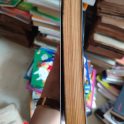 Martin I đơn 🌱 463212