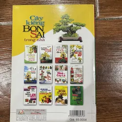 Cây kiểng Bonsai trong nhà (6) 715975