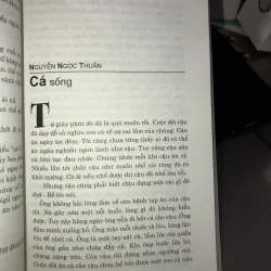 Hồn hoa đêm tháp cổ  1001142