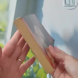 [MIỄN PHÍ BỌC SÁCH] [XƯA] The Changeover (1995) - Margaret Mahy 1027487