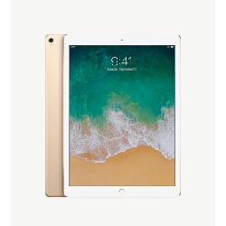 iPad Pro 10.5 inch 32GB 382504