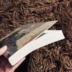 Hồ Xuân Hương boài niệm phồn thực (Đỗ Lai Thuý) 1017643