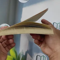 Vì con cần có mẹ - ATY 798384