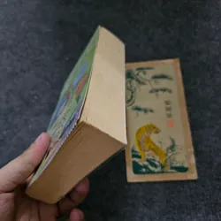 The undomestic goddess - Sophie kinsella 740811