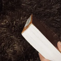 Các mô hình quản lí nhà nước hiện đại 723120