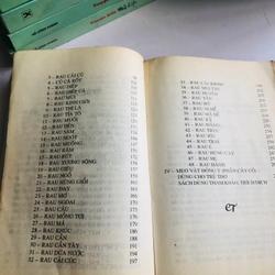 NHỮNG PHƯƠNG THUỐC HAY “ RAU CỎ TRỊ BỆNH “ 540885