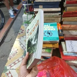 Luận Về Lý - Khí - Sơn - Thủy ( Tầm Long Điểm Huyệt) 716796