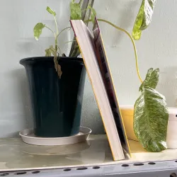 Nghệ thuật giao dịch địa ốc 746103