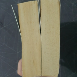 Combo "Lên cung trăng tìm tình yêu" - Hoa Thanh Thần 492904
