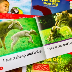 Bộ sách Nonfiction sight word readers 4 levels 466267