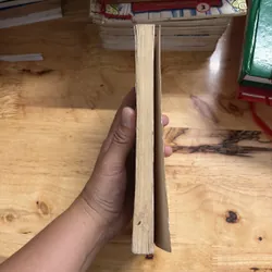 II Sách Xưa: Thơ Văn Nguyễn Quang Bích - 1973 705161