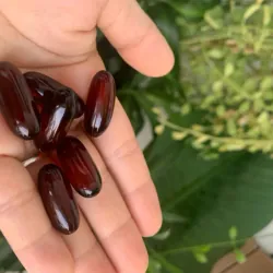 (Hàng CTY mới) Dầu Nhuyễn Thể Omega 3 Nuskin nhập khẩu Mỹ Hộp 120 Viên 735872