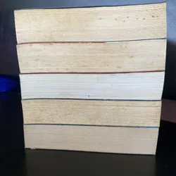 Tử Thư Tây Hạ full 5 tập  740596