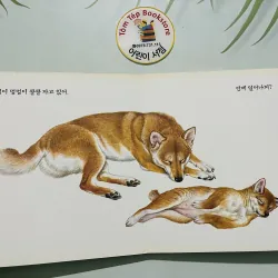 Set boardbook B20 cho bé yêu động vật tiếng Hàn 784654