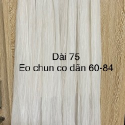 Chân váy công chúa xếp ly 26382