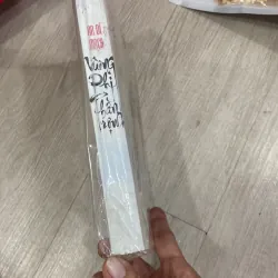 Vương Phi Thần Trộm 788473