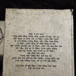 Combo 2c Bạch Lạc Mai bìa cứng 758101