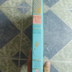 Peter Pan ( nhiều tranh vẽ tuyệt đẹp cùng các trò chơi tương tác) - J.M. Barrie 689444